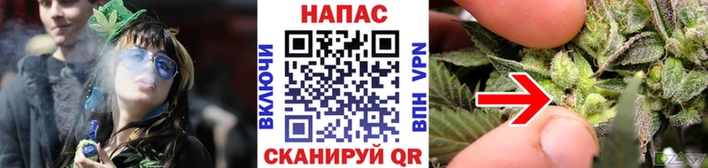 магазин продажи наркотиков  darknet как зайти  Марихуана план  Гусь-Хрустальный 